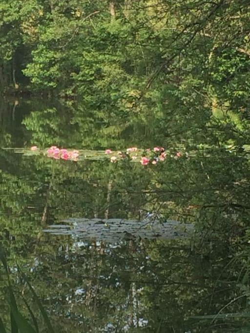 Chiemgau-Loft Zwischen Seenzauber Und Gipfelglueck Riedering Esterno foto